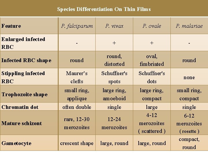  Species Differentiation On Thin Films Feature P. falciparum P. vivax P. ovale P.