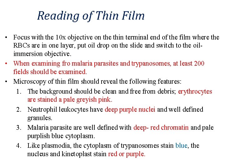 Reading of Thin Film • Focus with the 10 x objective on the thin