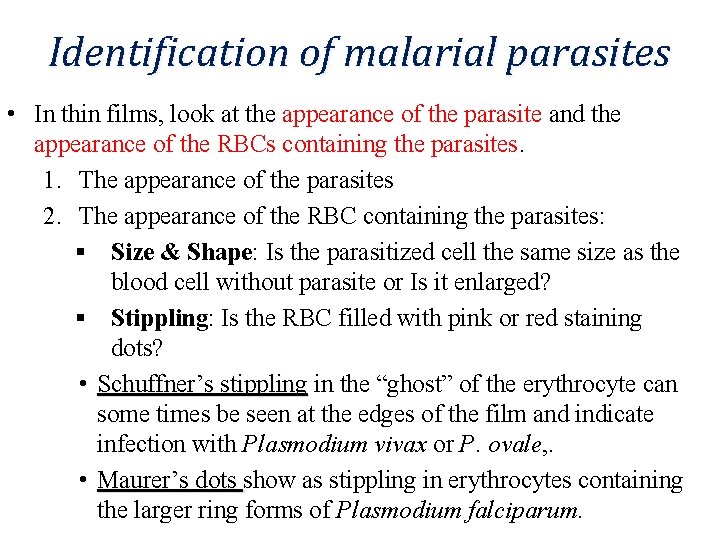 Identification of malarial parasites • In thin films, look at the appearance of the