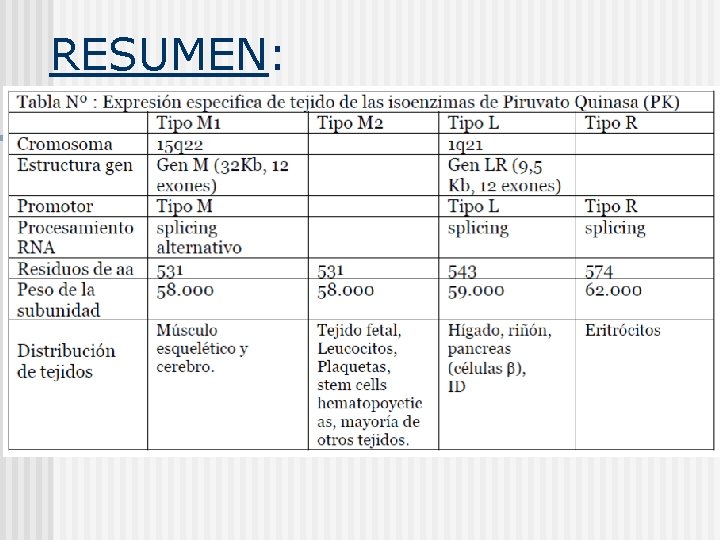 RESUMEN: 