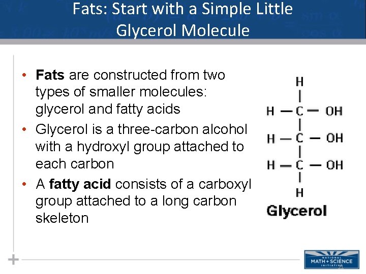 Fats: Start with a Simple Little Glycerol Molecule • Fats are constructed from two