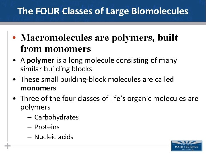 The FOUR Classes of Large Biomolecules • Macromolecules are polymers, built from monomers •