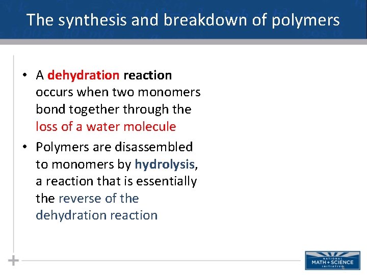 The synthesis and breakdown of polymers • A dehydration reaction occurs when two monomers