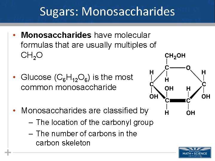 Sugars: Monosaccharides • Monosaccharides have molecular formulas that are usually multiples of CH 2