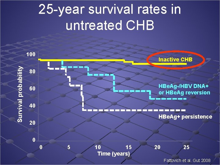 25 -year survival rates in untreated CHB Survival probability 100 Inactive CHB 80 HBe.