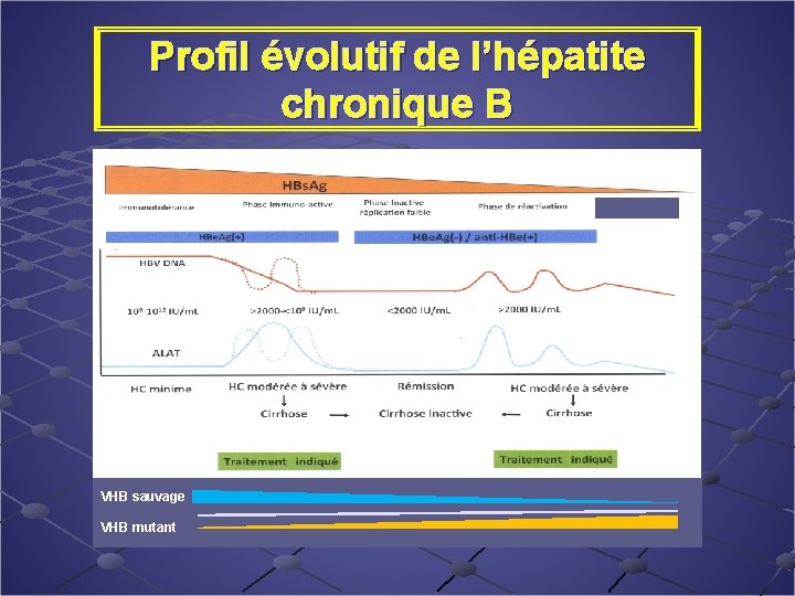 Profil évolutif de l’hépatite chronique B VHB sauvage VHB mutant 