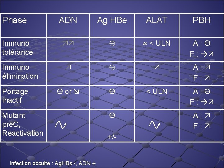 Phase Immuno tolérance Immuno élimination Portage inactif ADN Ag HBe ALAT PBH < ULN