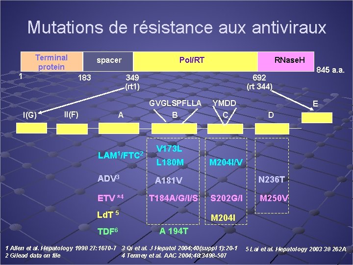 Mutations de résistance aux antiviraux Terminal protein 1 I(G) spacer 183 Pol/RT RNase. H