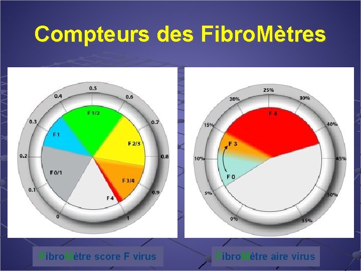 Compteurs des Fibro. Mètres Fibro. Mètre score F virus Fibro. Mètre aire virus 