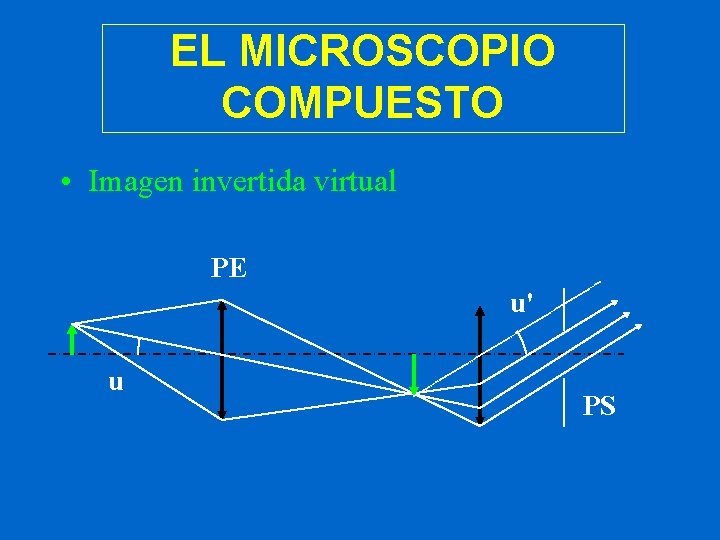 EL MICROSCOPIO COMPUESTO • Imagen invertida virtual PE u' u PS 