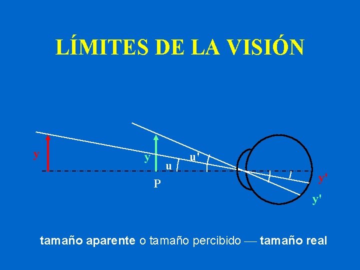 LÍMITES DE LA VISIÓN y y u P u' y' y' tamaño aparente o