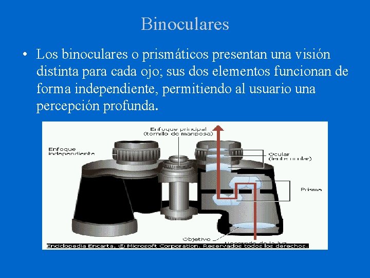 Binoculares • Los binoculares o prismáticos presentan una visión distinta para cada ojo; sus