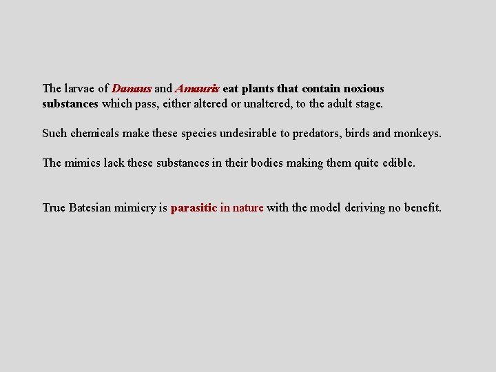 The larvae of Danaus and Amauris eat plants that contain noxious substances which pass,