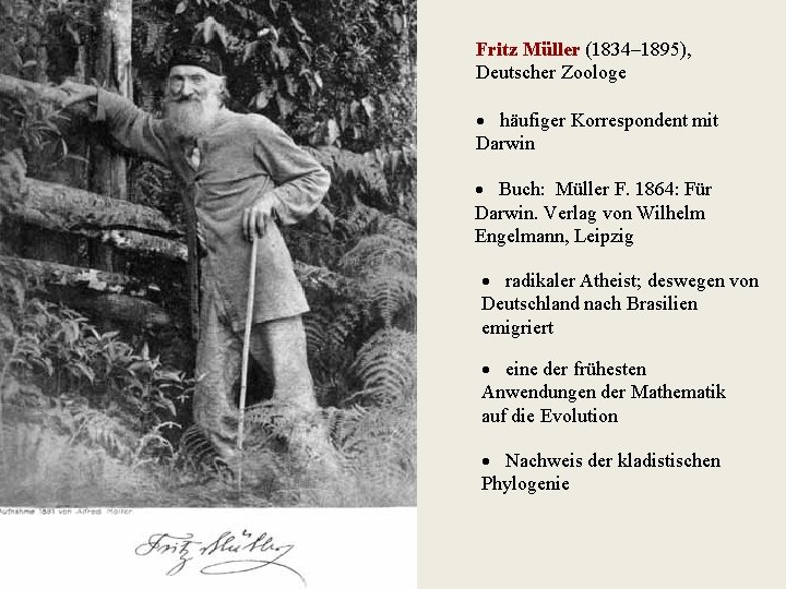 Fritz Müller (1834– 1895), Deutscher Zoologe häufiger Korrespondent mit Darwin Buch: Müller F. 1864: