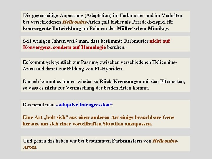 Die gegenseitige Anpassung (Adaptation) im Farbmuster und im Verhalten bei verschiedenen Heliconius-Arten galt bisher
