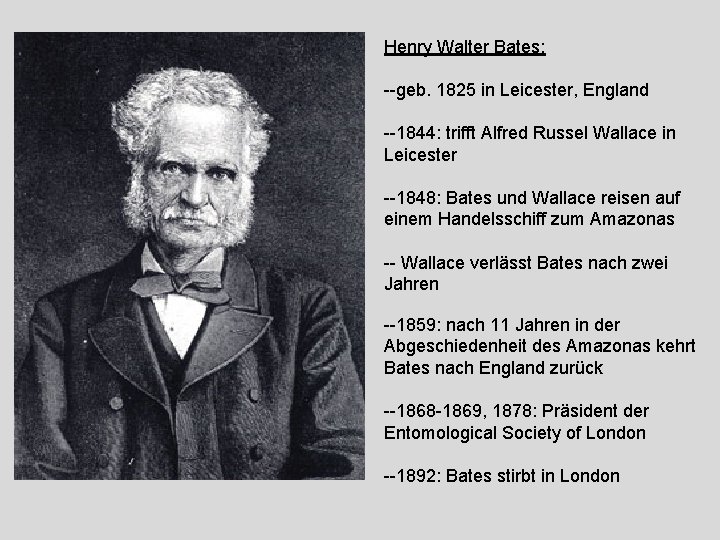Henry Walter Bates: --geb. 1825 in Leicester, England --1844: trifft Alfred Russel Wallace in