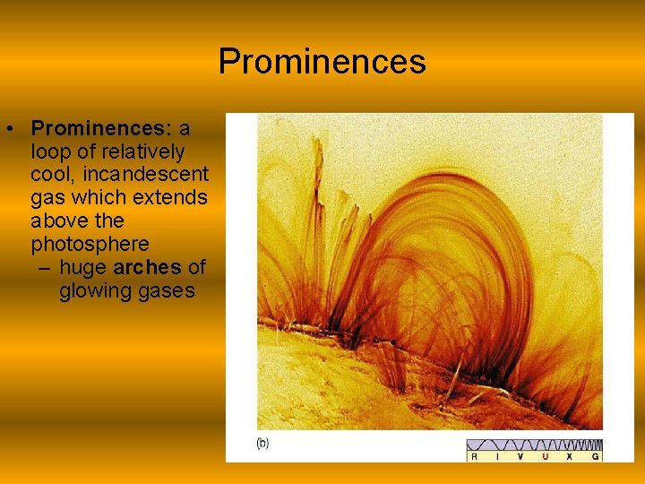 Prominences • Prominences: a loop of relatively cool, incandescent gas which extends above the