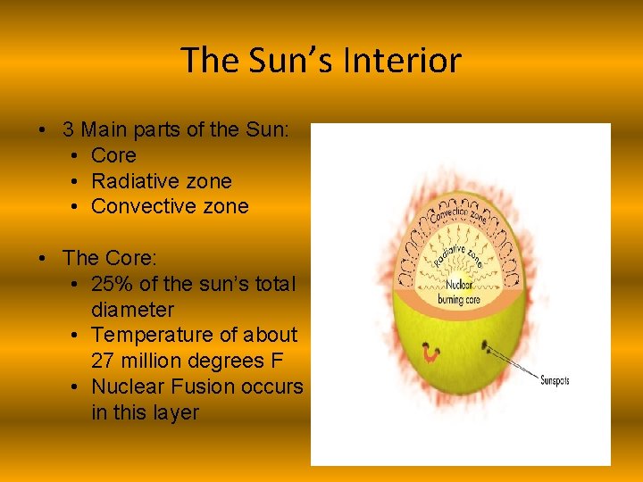 The Sun’s Interior • 3 Main parts of the Sun: • Core • Radiative