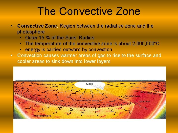 The Convective Zone • Convective Zone: Region between the radiative zone and the photosphere