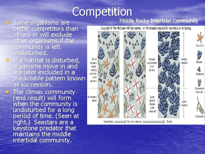  • Some organisms are • • Competition better competitors than others or will