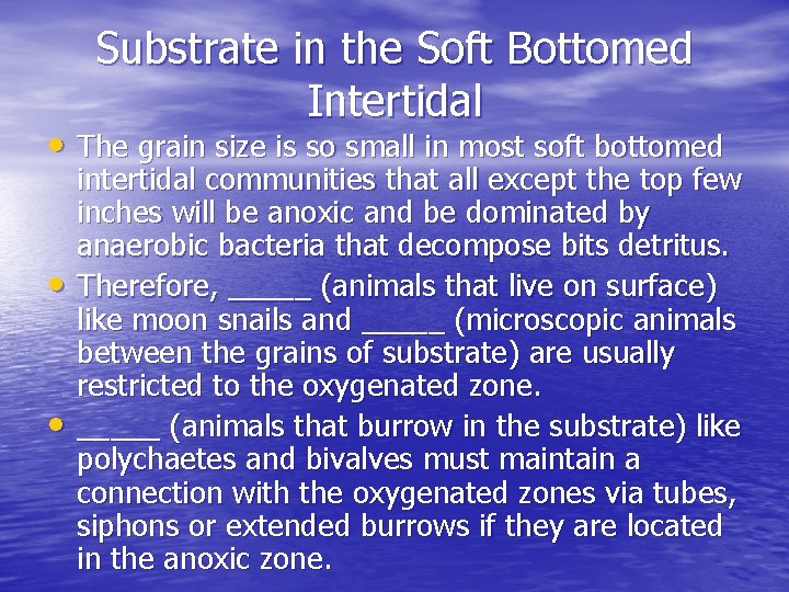 Substrate in the Soft Bottomed Intertidal • The grain size is so small in