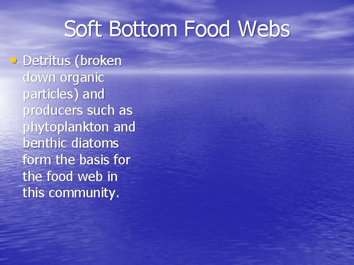 Soft Bottom Food Webs • Detritus (broken down organic particles) and producers such as