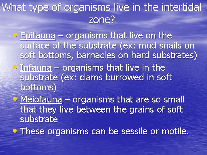 What type of organisms live in the intertidal zone? • Epifauna – organisms that