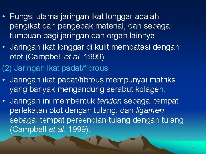  • Fungsi utama jaringan ikat longgar adalah pengikat dan pengepak material, dan sebagai