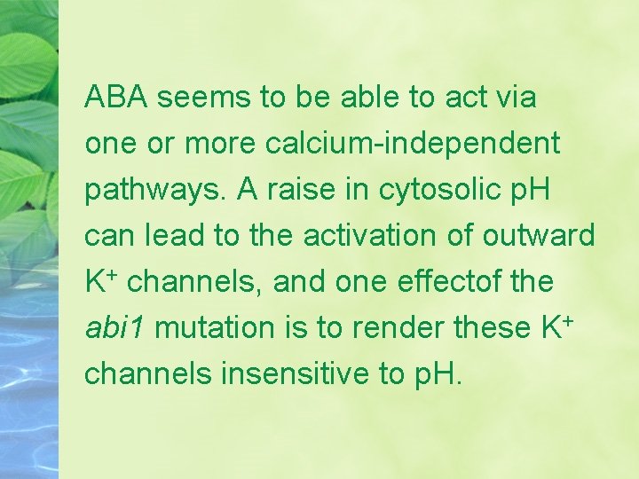ABA seems to be able to act via one or more calcium-independent pathways. A