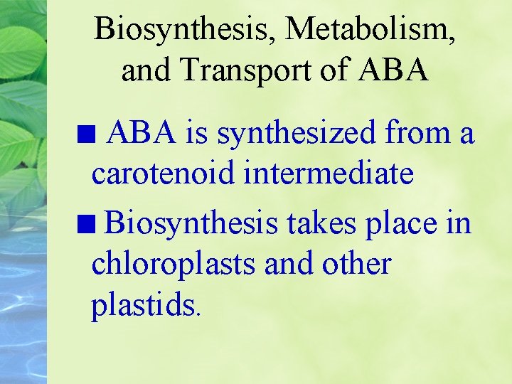 Biosynthesis, Metabolism, and Transport of ABA is synthesized from a carotenoid intermediate Biosynthesis takes