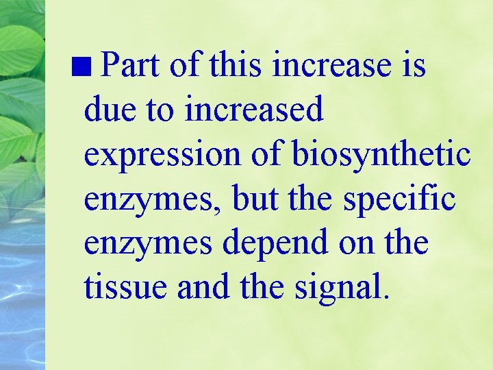 Part of this increase is due to increased expression of biosynthetic enzymes, but the
