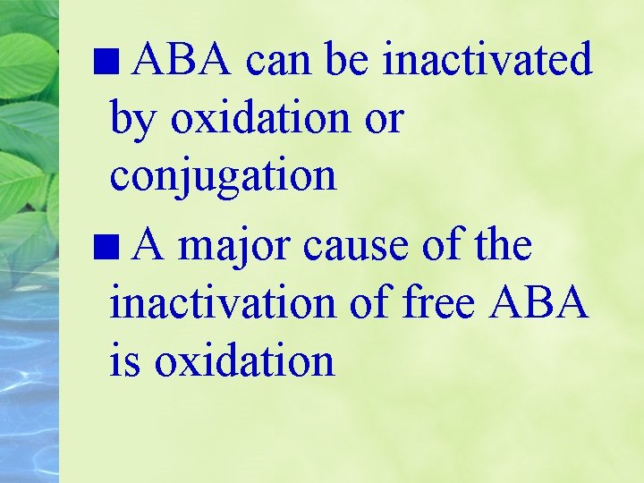 ABA can be inactivated by oxidation or conjugation A major cause of the inactivation