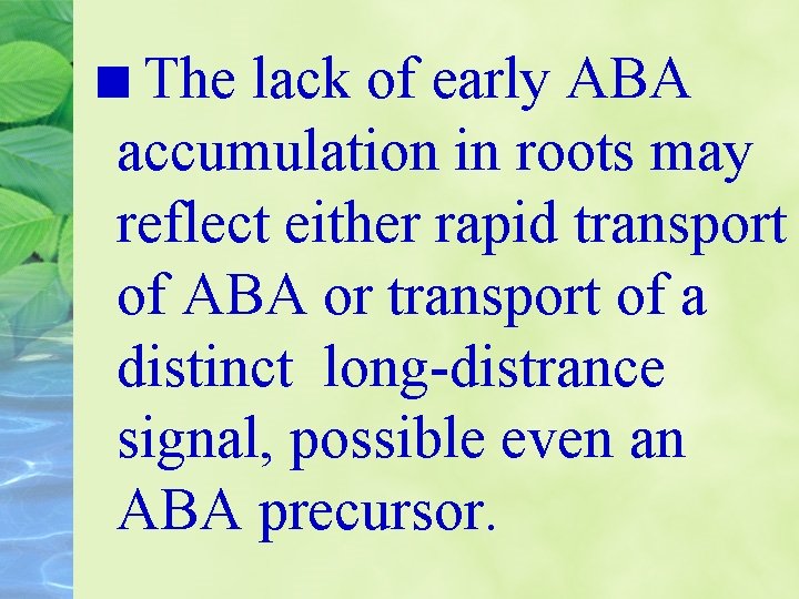 The lack of early ABA accumulation in roots may reflect either rapid transport of