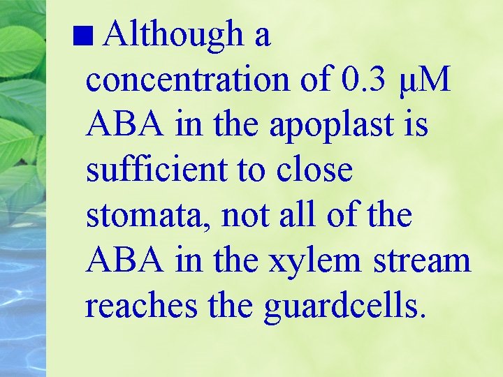 Although a concentration of 0. 3 μM ABA in the apoplast is sufficient to