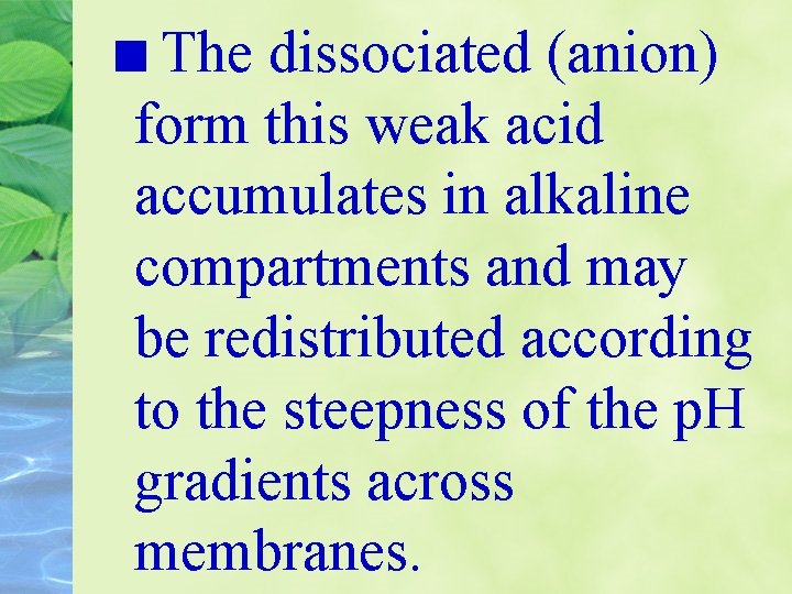 The dissociated (anion) form this weak acid accumulates in alkaline compartments and may be