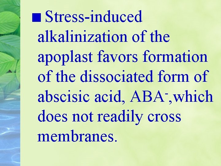 Stress-induced alkalinization of the apoplast favors formation of the dissociated form of abscisic acid,