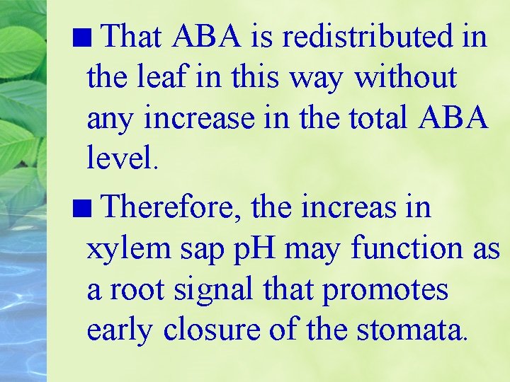 That ABA is redistributed in the leaf in this way without any increase in