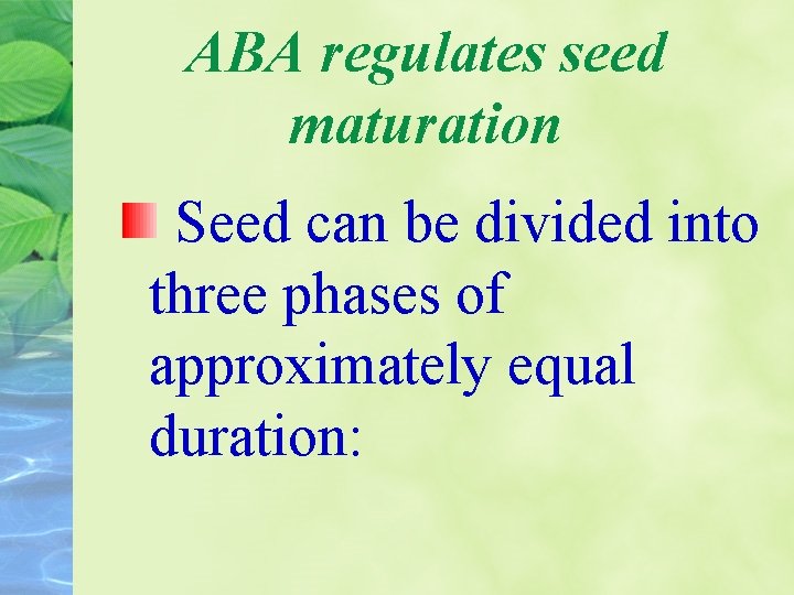 ABA regulates seed maturation Seed can be divided into three phases of approximately equal