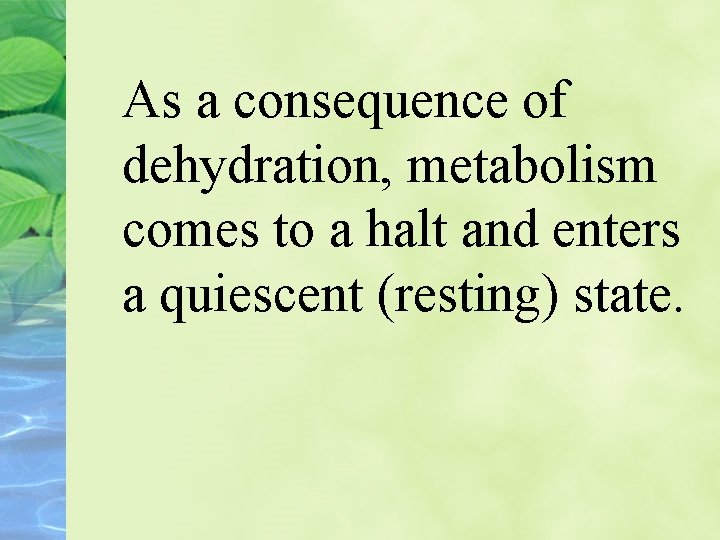 As a consequence of dehydration, metabolism comes to a halt and enters a quiescent