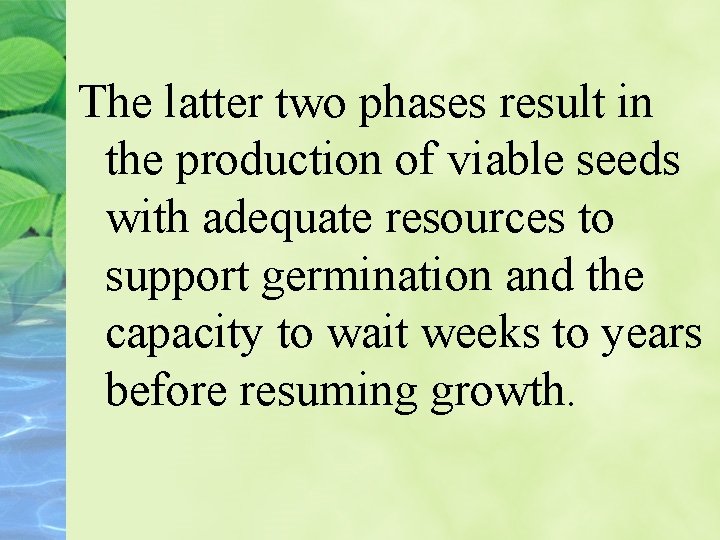 The latter two phases result in the production of viable seeds with adequate resources