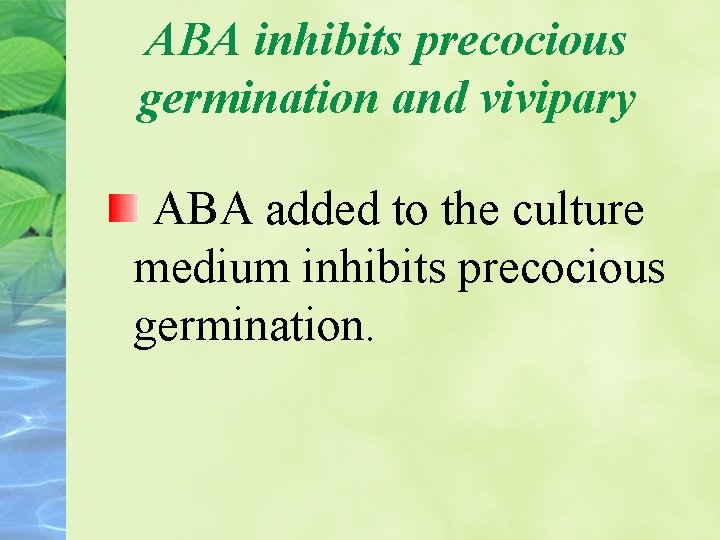 ABA inhibits precocious germination and vivipary ABA added to the culture medium inhibits precocious