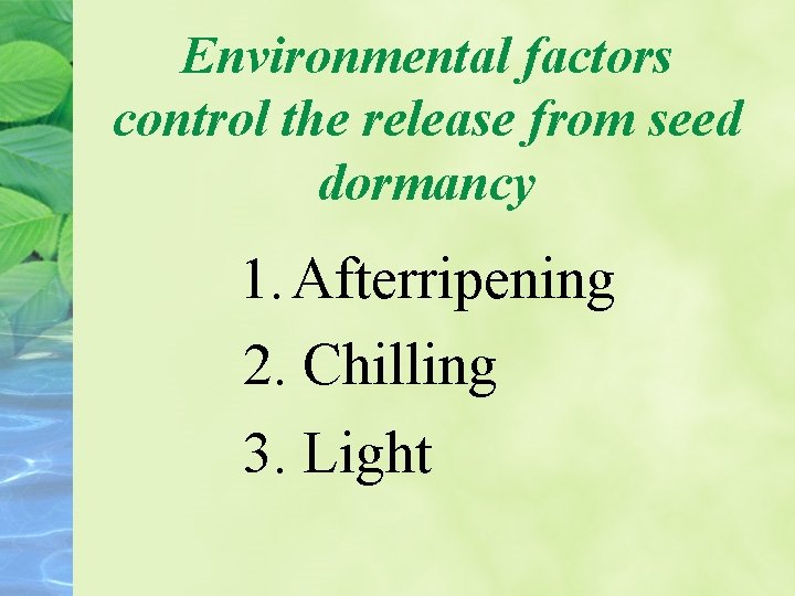 Environmental factors control the release from seed dormancy 1. Afterripening 2. Chilling 3. Light