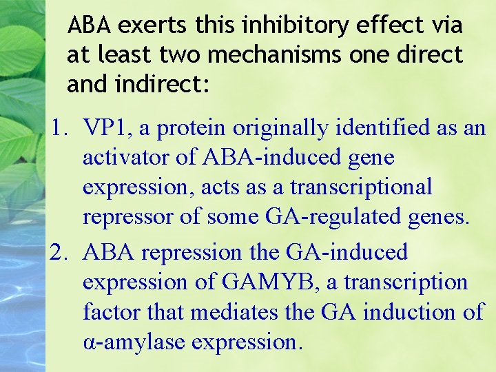 ABA exerts this inhibitory effect via at least two mechanisms one direct and indirect:
