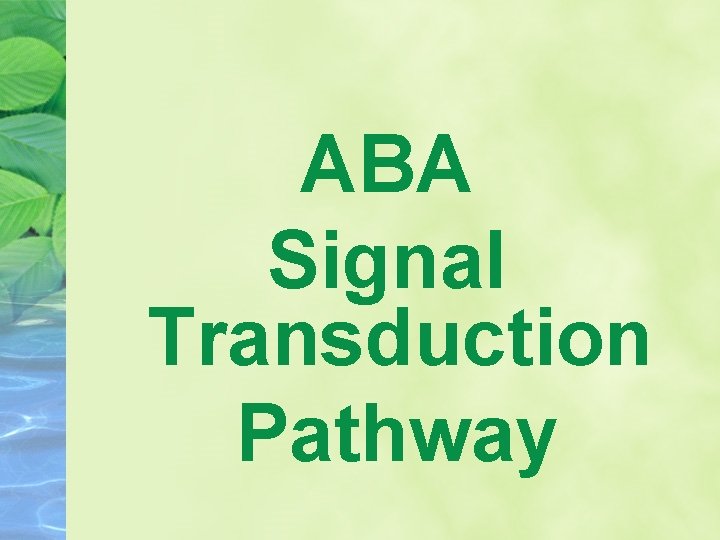 ABA Signal Transduction Pathway 