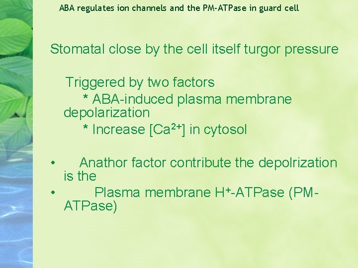 ABA regulates ion channels and the PM-ATPase in guard cell Stomatal close by the