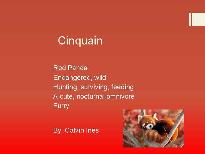 Cinquain Red Panda Endangered, wild Hunting, surviving, feeding A cute, nocturnal omnivore Furry By: