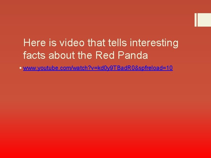 Here is video that tells interesting facts about the Red Panda § www. youtube.