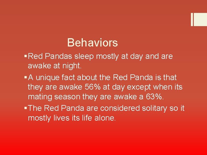 Behaviors § Red Pandas sleep mostly at day and are awake at night. §