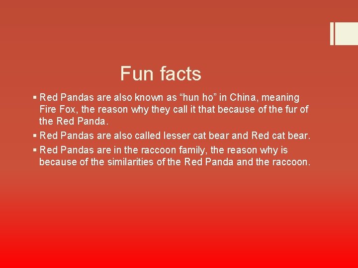 Fun facts § Red Pandas are also known as “hun ho” in China, meaning