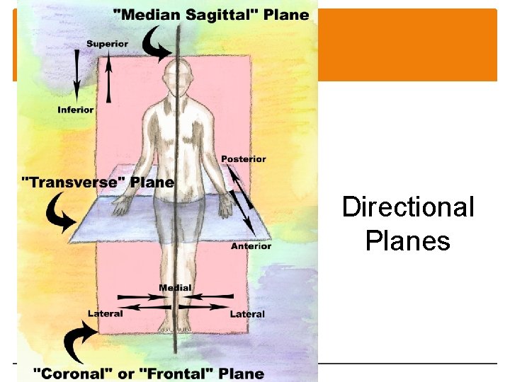 Directional Planes  Directional Planes
